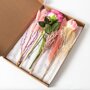 Brievenbus Zijden Silk Blush pakket